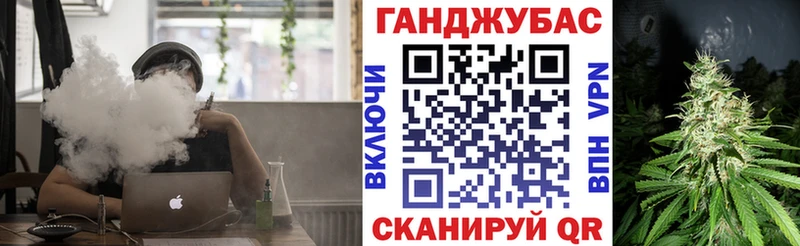купить закладку  Жиздра  Конопля SATIVA & INDICA 
